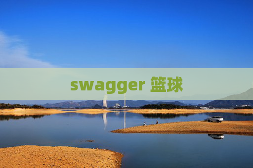 swagger 篮球 swagger 篮球
